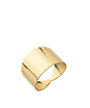 Anel Liso Regulável / Banho Ouro 18k